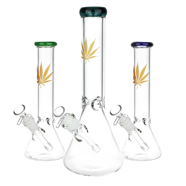 Classic Glass Gold Leaf Beaker Bong | Size Comparison