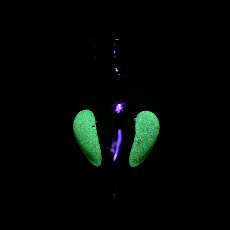 Hemper Alien Carb Cap | Glow In The Dark Accents