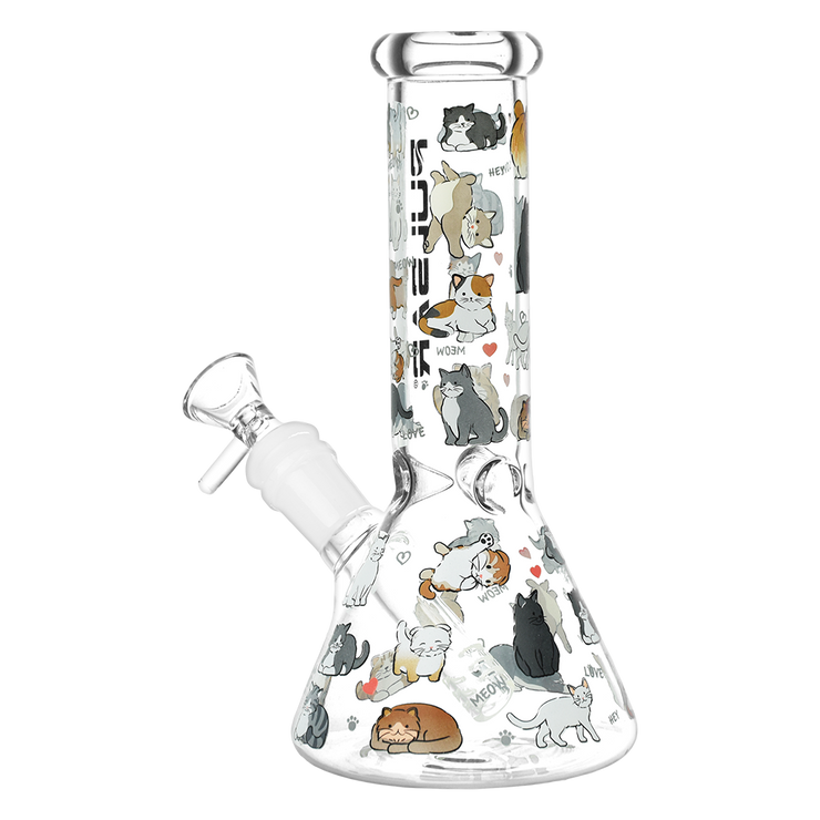 Pulsar Kitten Corral Beaker Bong | Back View